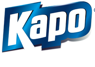 Aérosol foudroyant spécial punaises de lit 400ml KAPO